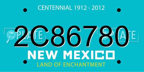 2C86780 New Mexico License Plate