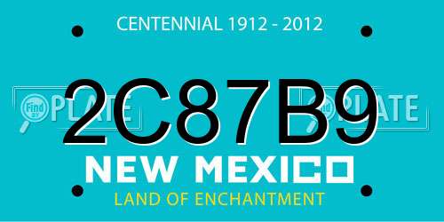 2C87B9 New Mexico License Plate