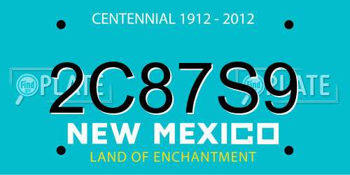 2C87S9 New Mexico License Plate