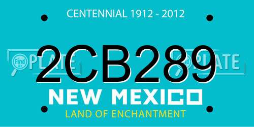 2CB289 New Mexico License Plate