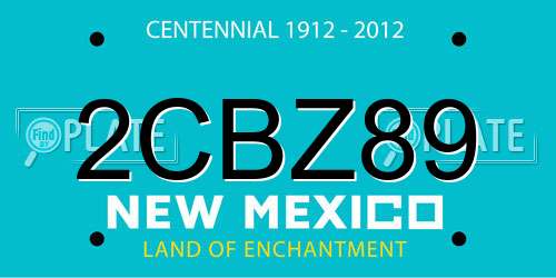 2CBZ89 New Mexico License Plate