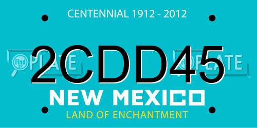 2CDD45 New Mexico License Plate