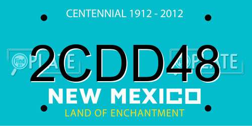 2CDD48 New Mexico License Plate