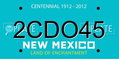2CDO45 New Mexico License Plate