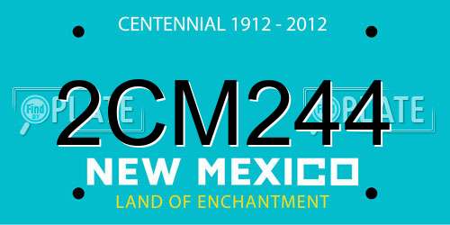 2CM244 New Mexico License Plate
