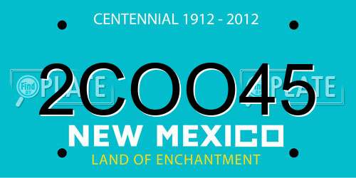 2COO45 New Mexico License Plate
