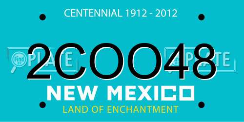 2COO48 New Mexico License Plate
