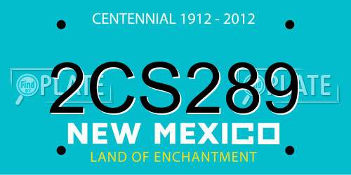 2CS289 New Mexico License Plate