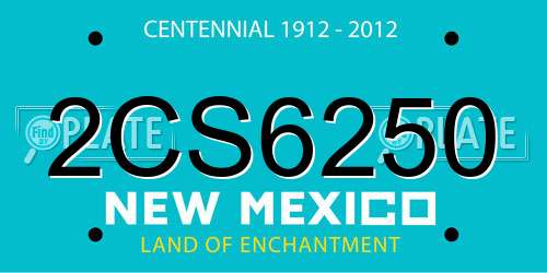 2CS6250 New Mexico License Plate