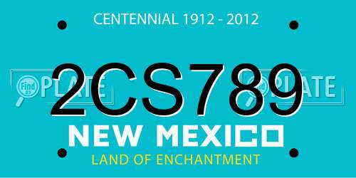 2CS789 New Mexico License Plate