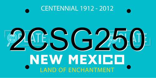 2CSG250 New Mexico License Plate