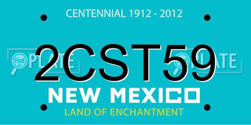 2CST59 New Mexico License Plate