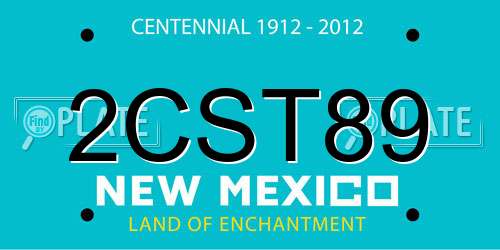 2CST89 New Mexico License Plate