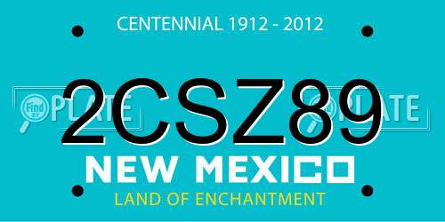 2CSZ89 New Mexico License Plate