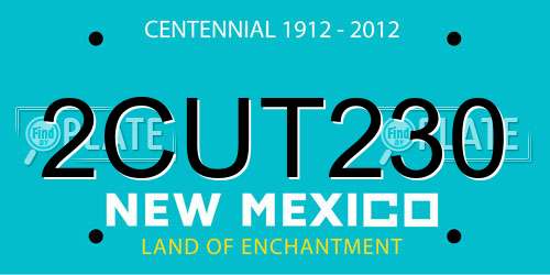 2CUT230 New Mexico License Plate