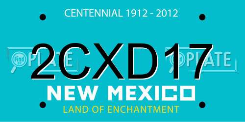 2CXD17 New Mexico License Plate