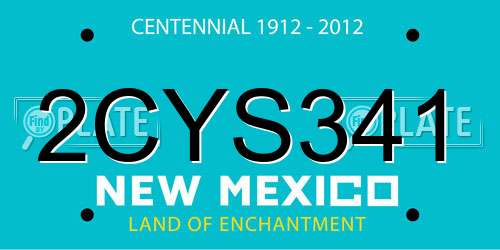 2CYS341 New Mexico License Plate