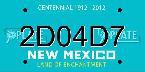 2D04D7 New Mexico License Plate
