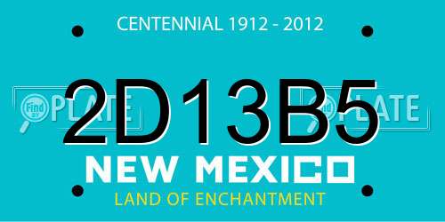 2D13B5 New Mexico License Plate