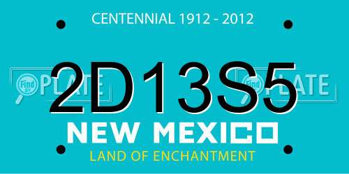 2D13S5 New Mexico License Plate