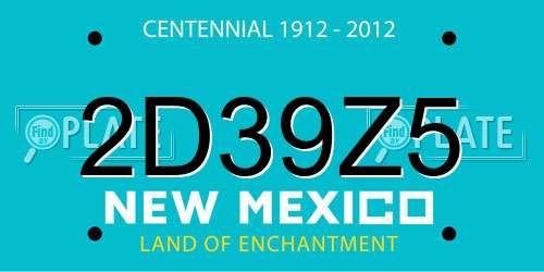 2D39Z5 New Mexico License Plate