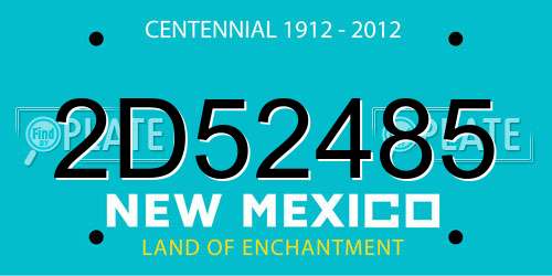 2D52485 New Mexico License Plate