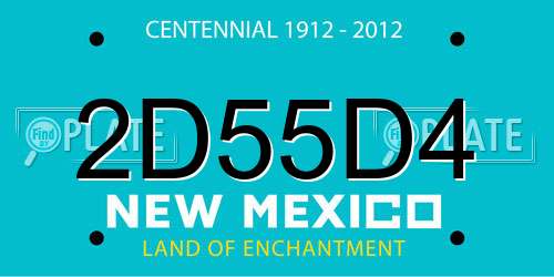 2D55D4 New Mexico License Plate