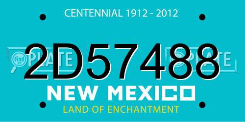 2D57488 New Mexico License Plate