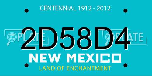 2D58D4 New Mexico License Plate