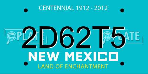 2D62T5 New Mexico License Plate