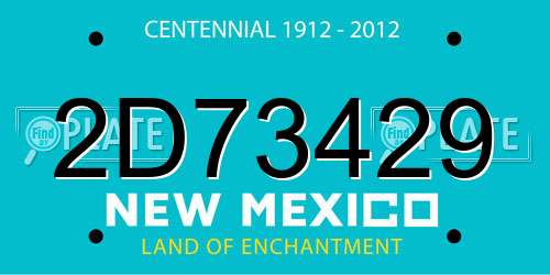 2D73429 New Mexico License Plate