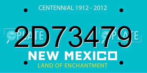 2D73479 New Mexico License Plate