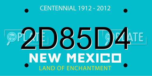 2D85D4 New Mexico License Plate