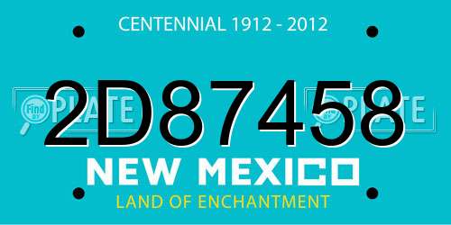 2D87458 New Mexico License Plate