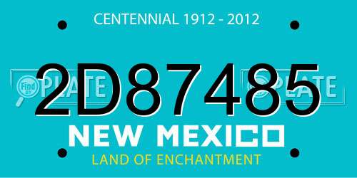 2D87485 New Mexico License Plate