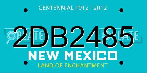 2DB2485 New Mexico License Plate