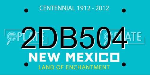 2DB504 New Mexico License Plate