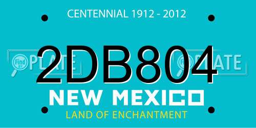 2DB804 New Mexico License Plate