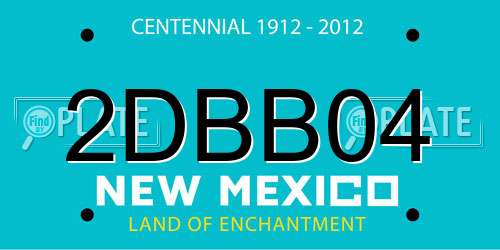 2DBB04 New Mexico License Plate