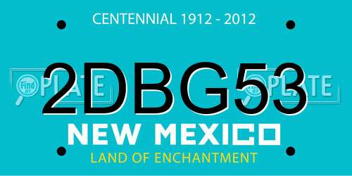 2DBG53 New Mexico License Plate