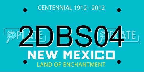 2DBS04 New Mexico License Plate