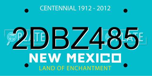 2DBZ485 New Mexico License Plate