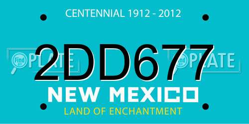 2DD677 New Mexico License Plate