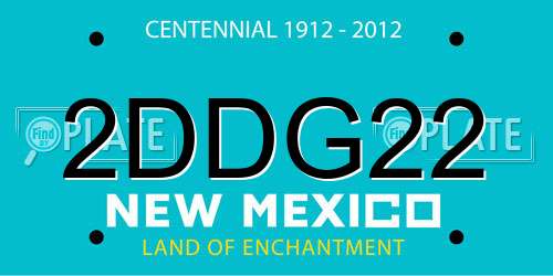 2DDG22 New Mexico License Plate