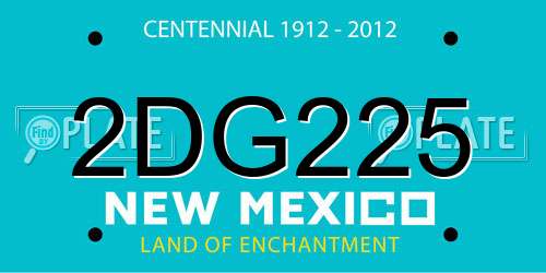 2DG225 New Mexico License Plate