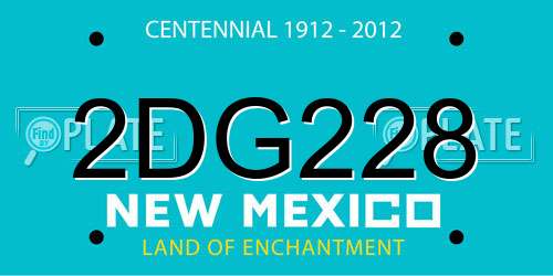 2DG228 New Mexico License Plate