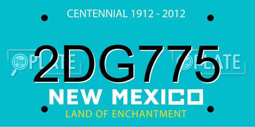 2DG775 New Mexico License Plate