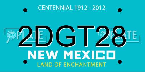 2DGT28 New Mexico License Plate