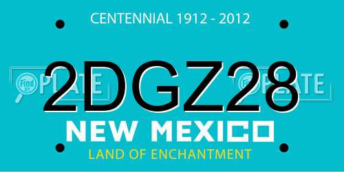 2DGZ28 New Mexico License Plate
