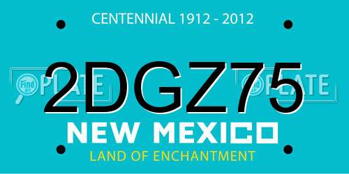 2DGZ75 New Mexico License Plate